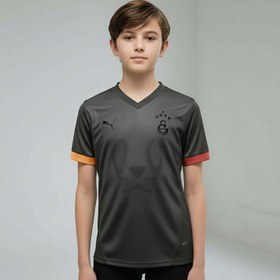 Resim Puma Galatasaray Limited Edition Çocuk Forma 