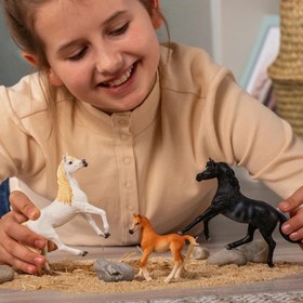 Resim Schleich Rabicano Arap Aygırı 13981 
