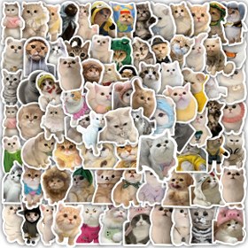Resim 100 adet Sevimli Kedi Hayvan Çıkartmaları - Scrapbooking, Günlük Tutma, Dizüstü Bilgisayarlar, Su Şişeleri ve Daha Fazlası için Estetik Vinil Etiketler - Renkli Karikatür Kedi Tasarımları, Yeniden Kullanılabilir ve Kendinden Yapışkanlı, Kedi Aksesuarları 