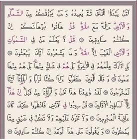 Resim Rahle Boy 30 Cüz Kur'an-ı Kerim Çantalı, Bez Cilt, Kırmızı 