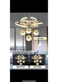 Resim Ey-El Tasarım Venüs 4'lü Ledli Gold 3 Renk Sarkıt Avize Gold 