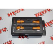 Resim Rızoma Elcik Orange (490567491) 