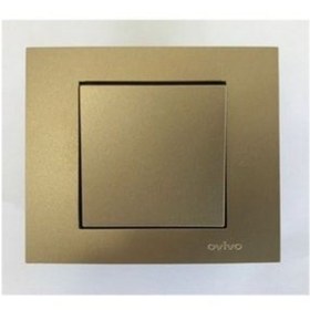 Resim Asyagrup Ovivo Titanyum Anahtar 