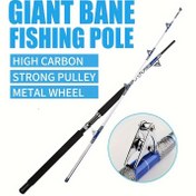 Resim 2 Parçalı Trolling Olta Kamışı - Son Derece Dayanıklı, Çift Makaralı Kılavuz Tasarımı 