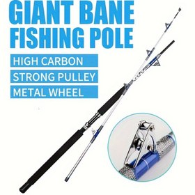 Resim 2 Parçalı Trolling Olta Kamışı - Son Derece Dayanıklı, Çift Makaralı Kılavuz Tasarımı 