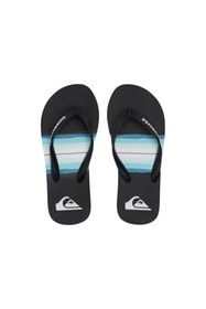 Resim Quiksilver MOLOKAI RESIN TINT YOUTH ERKEK ÇOCUK TERLİK AQBL100559 