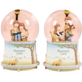 Resim Sonbahar Kar Küresi 