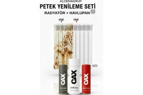 Resim Petek Radyatör Yenileme Seti- Isıya Dayanıklı Beyaz Sprey Boya +Akrilik Astar + Parlak Vernik 400ML 