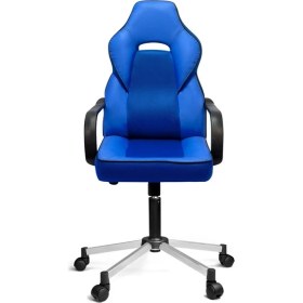 Resim Türksit İnka Plastik Kol Ve Krom Ayaklı Yönetici Koltuğu Mavi 