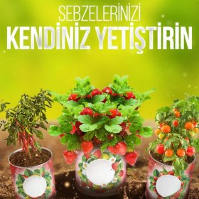 Resim Lowell Home Konserve Bahçem Evde Konservede Fındık Turp Yetiştirme Kiti LWLHM-RSYT367 