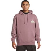 Resim Quiksilver Omni Logo Hoodie Erkek Sweatshirt 