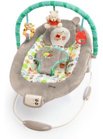 Resim Bright Starts Winnie The Pooh Dots & Hunny Pots Sallanan Bebek Ti 