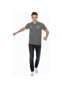 Resim Fenerbahçe Orijinal Lisanslı 2024/25 A Takım Yetişkin Polo Yaka Gri T-shirt Gri 
