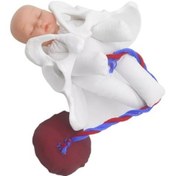 Resim Zcjb Fen Eğitimi Öğretim Çalışması Uluslararası Sertifikasyon Basınç Direnci Uzun Ömür Yabancı Ürünler 89273 