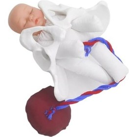 Resim Zcjb Fen Eğitimi Öğretim Çalışması Uluslararası Sertifikasyon Basınç Direnci Uzun Ömür Yabancı Ürünler 89273 