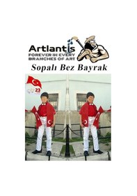 Resim Sopalı Bez Bayrak 20x30 Cm 1 Adet Saplı Bayrak Ay Yıldız Plastik Çıtalı 20 30 Bez Bayrak Mill Bayram Kutlama 