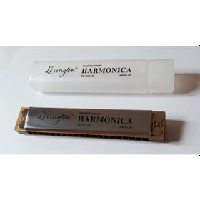 Resim Lexington Hm0120 Mızıka 20 Delikli Orta Boy 