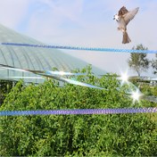 Resim Lazer Çift Taraflı Kuş Kovucu Şerit Anti Kuş Flaşı Ev Yüksek Parlaklık Meyve Ağacı Renkli Şerit Lazer Kuş Kovucu Zararlı Kontrolü İçin 