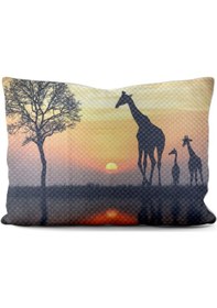 Resim Paradero Zürafalar Büyük Yastık Kılıfı 