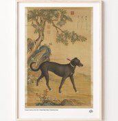 Resim On Değerli Köpek Albümü, Poster 
