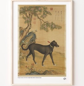 Resim On Değerli Köpek Albümü, Poster 