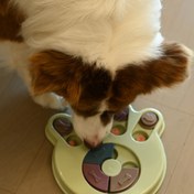 Resim 1 Etkileşimli Köpek Bulmaca Oyuncağı - Küçük ve Orta Boy Irklar için Yavaş Yemlik & IQ Eğitim Oyunu, Renkli Yemek Eşleştirme Özellikleriyle Dayanıklı Plastik, Zeka Geliştirir & Sıkıntıyı Azaltır, Etkileşimli Köpek Oyuncağı 