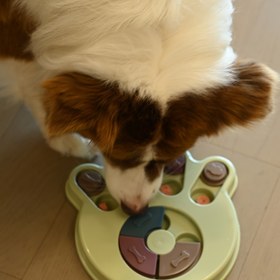 Resim 1 Etkileşimli Köpek Bulmaca Oyuncağı - Küçük ve Orta Boy Irklar için Yavaş Yemlik & IQ Eğitim Oyunu, Renkli Yemek Eşleştirme Özellikleriyle Dayanıklı Plastik, Zeka Geliştirir & Sıkıntıyı Azaltır, Etkileşimli Köpek Oyuncağı 