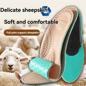 Resim Gerçek Koyun Derisi Nefes Alabilen Tabanlıklar, Kemik Desteği, Lateks Şok Emici Tasarım, Rahat Ayak Sistemi, Tüm Mevsimler İçin Kaymaz İç Tabak, Sporlu/Deri Ayakkabılar Uygun, Boyutlar 5.5-9.5, Kesmeye Uygun, Yeşil ve Apriko ile 