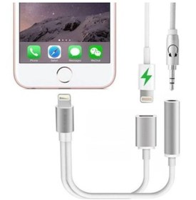 Resim BASTORE Lightning 2 In 1 Kulaklık Çevirici Kablo Aux Stereo 
