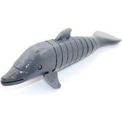 Resim River World Seri A Sallanan Balık Ahşap 