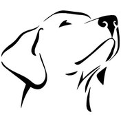 Resim Kıvırcıkyoga Asil Köpek Sticker Oto Motor Laptop Duvar Folyo Sticker 30x27 cm 