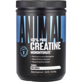 Resim Universal Animal Creatine Monohydrate Monohidrat 500gr - 100 SERVİS - Usa menşei Yerli üretim değildir 