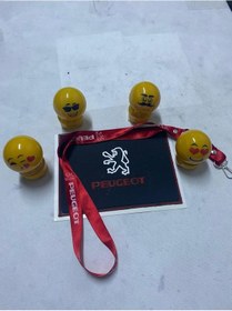Resim Kaydırmaz Ped, 4 Adet Zıpzıp Kafa, Ayna İpi Set Peugeot 