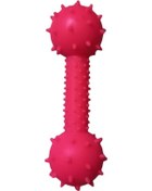 Resim Plastik Kaval Kemik Toplu Pembe Pembe 