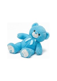 Resim Renkli Peluş Ayı 50 Cm Mavi Çok Renkli 