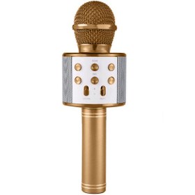 Resim NoTech Karaoke Mikrofon Bluetooth, Usb, Hafıza Kartı Ve Aux Girişli Ws-858 