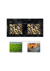 Resim Electric Wi-fi Dijital 1000x Usb Mikroskop, 3 Renkli Led, 1080p, Android/ios Uyumluluğu, Siyah 