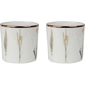 Resim Porland Botanical Desen10 2& 039 Li Bardak 230 Cc Çok Renkli 