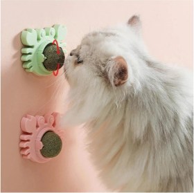 Resim Yengeç Kedi Otu Oyun Topu 