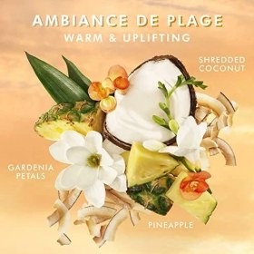 Resim TeknoKapsül Ambiance De Plage El Kremi Plaj Havası Argan Yağlı Nemlendirici 40 ml 