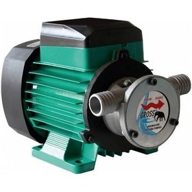 Resim Mazot Aktarma Pompası 220 V 1" Pro Gr220P 