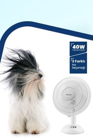 Resim GoldMaster Relax 40 Watt 12 inch Bakır Motorlu 3 Farklı Hız Ayarlı Masaüstü Vantilatör 