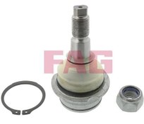 Resim FAG 825 0147 10 | Rotil Üst 
