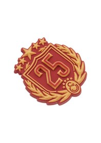 Resim Gsstore Galatasaray 25. Şampiyonluk Magnet U251419 