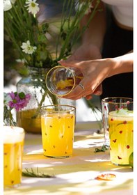 Resim Rakle Lady Bird Meşrubat Bardağı Seti 4'lü 510 CC 