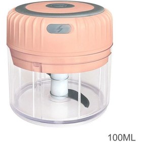 Resim 100ml Mini Elektrikli Sarımsak Kıyıcı Zencefil Ezici Makinesi 