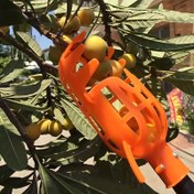 Resim 1 adet Ayarlanabilir Meyve Toplama Aracı - Mango, Kiraz, Limon Hasatçısı, Keskin, Basınca Dayanıklı Tasarım, Gıda Güvenli Plastik, Kolay Meyve Toplama için İdeal 