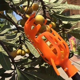 Resim 1 adet Ayarlanabilir Meyve Toplama Aracı - Mango, Kiraz, Limon Hasatçısı, Keskin, Basınca Dayanıklı Tasarım, Gıda Güvenli Plastik, Kolay Meyve Toplama için İdeal 