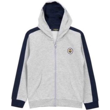 Fenerbahçe Sweat Kapşonlu Gri