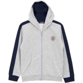 Resim Fenerbahçe Sweat Kapşonlu Gri 